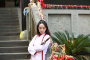 帝王攻略，揭秘皇權的游戲，中國版權力的游戲，皇權游戲的歷史、現狀與未來