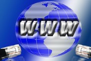 揭秘網(wǎng)絡(luò)世界，哪些網(wǎng)站人流量大？