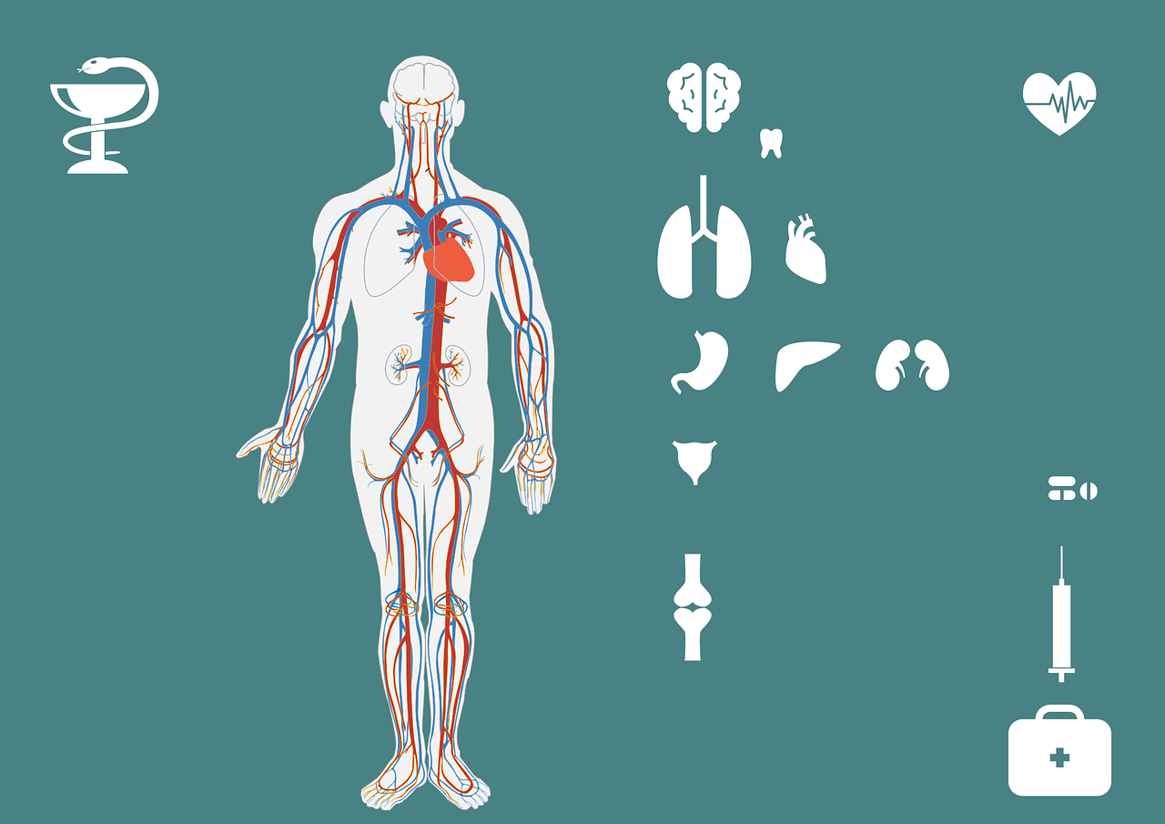 瀉藥最新實(shí)時(shí)行情_瀉藥的癥狀