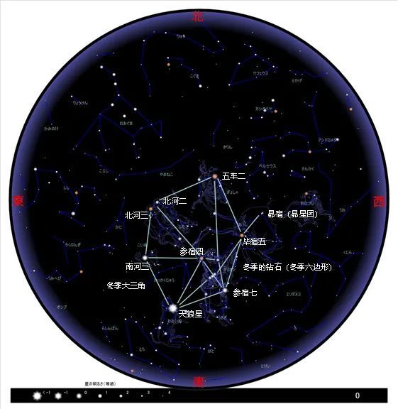 冬月星座運勢詳解(星座運勢2024年運程)